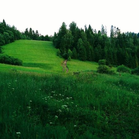 Domek W Gorach Pod Rysianka Zlatna Экстерьер фото