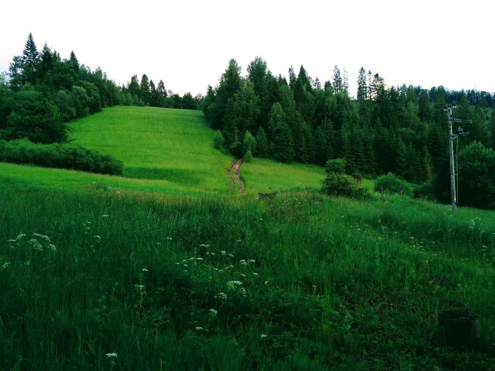 Domek W Gorach Pod Rysianka Zlatna Экстерьер фото
