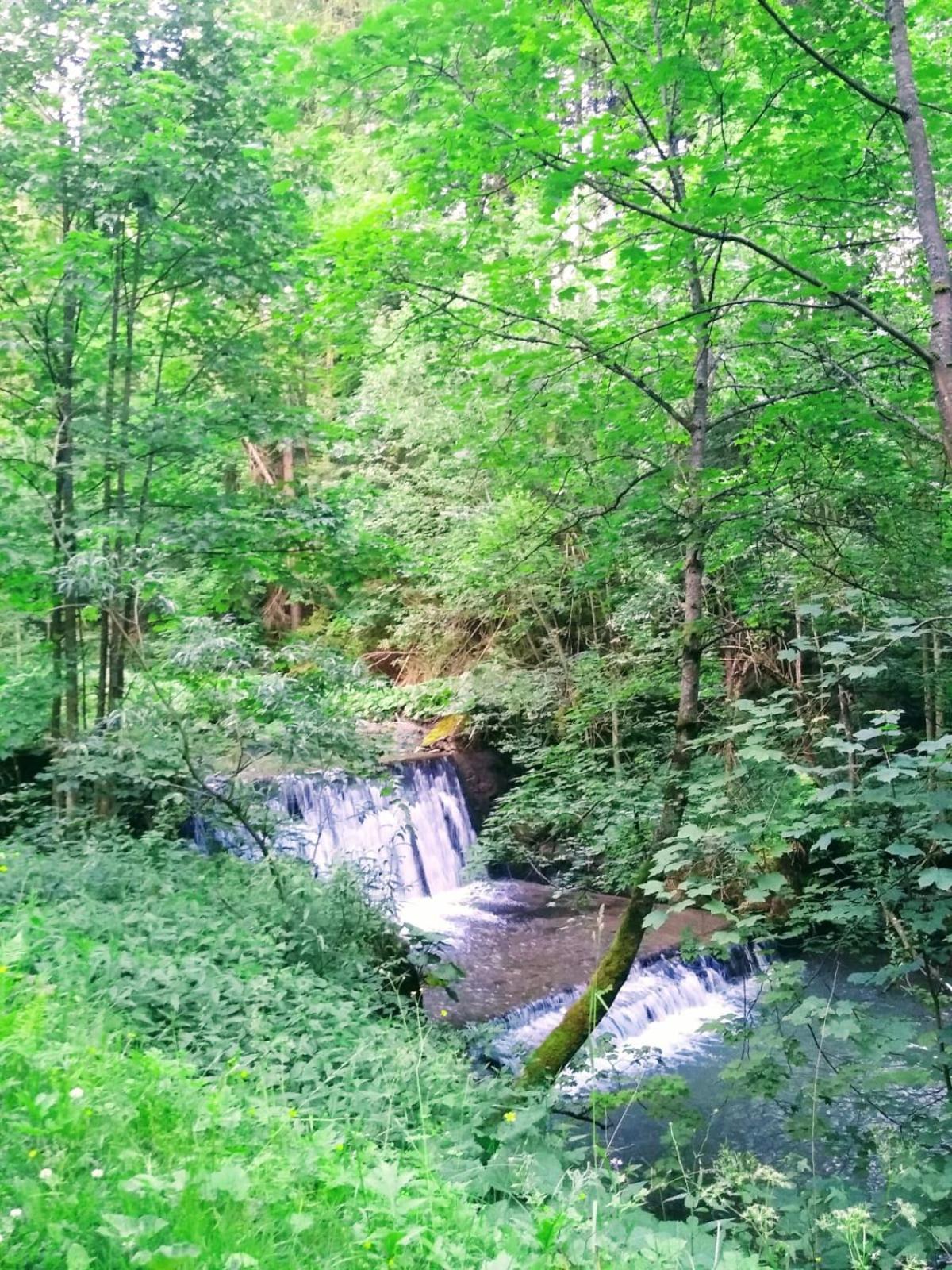 Domek W Gorach Pod Rysianka Zlatna Экстерьер фото